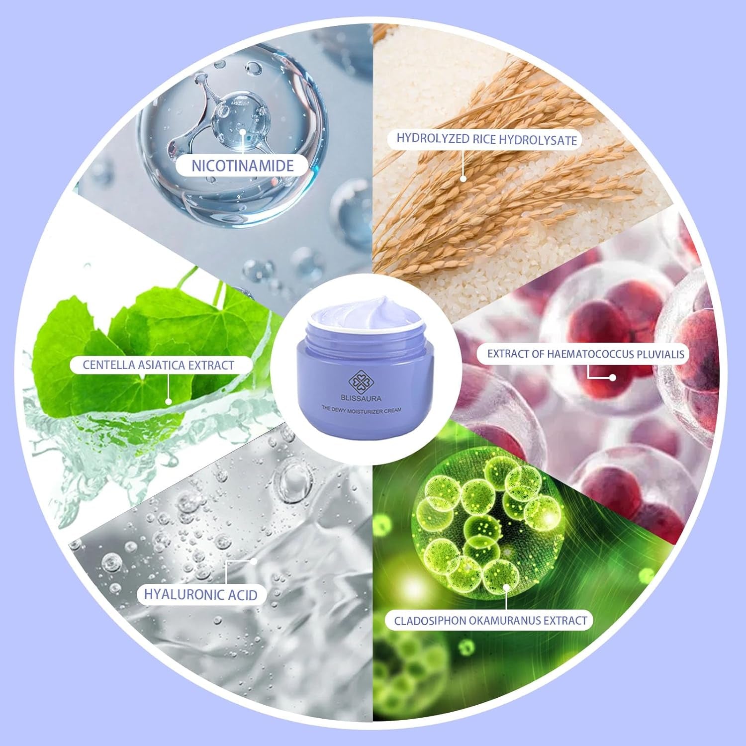 The Dewy Moisturizer Cream Anti-Aging Face Moisturizer Dewy Skin Cream for Women with Purple Rice & Hyaluronic Acid for Radiant, Hydrated Skin 50Ml/1.7 Fl Oz