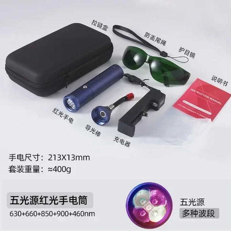 Profession Red Blue Light LED Physiotherapy Flashlight Canker Sore Treat Devices Light Therapy Devices Lip Nose Ears Body Muscle