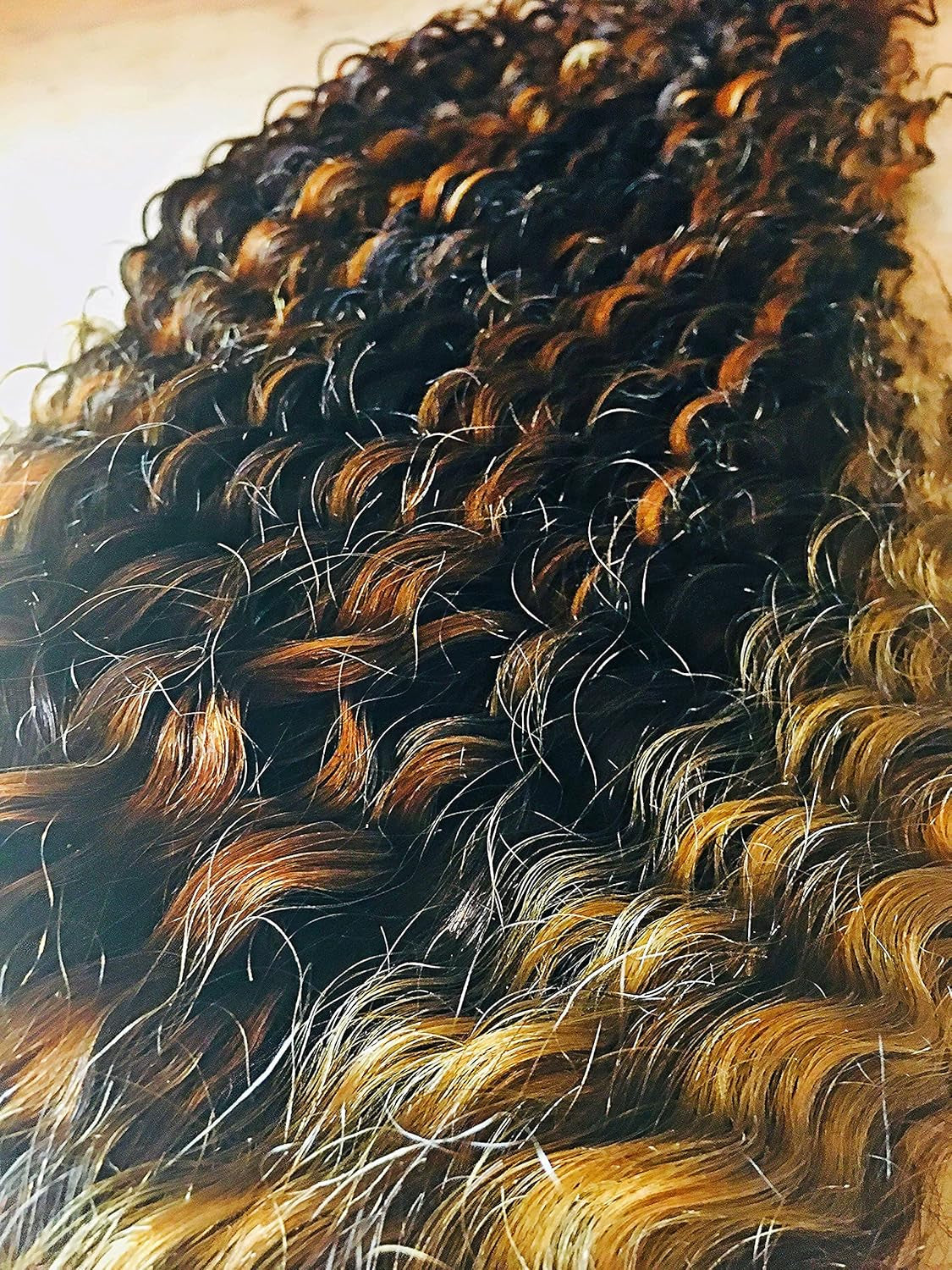 Human Hair Wig 13X4 Transparent Lace Wig Highlight Color Deep Wave 22Inches 180% Density