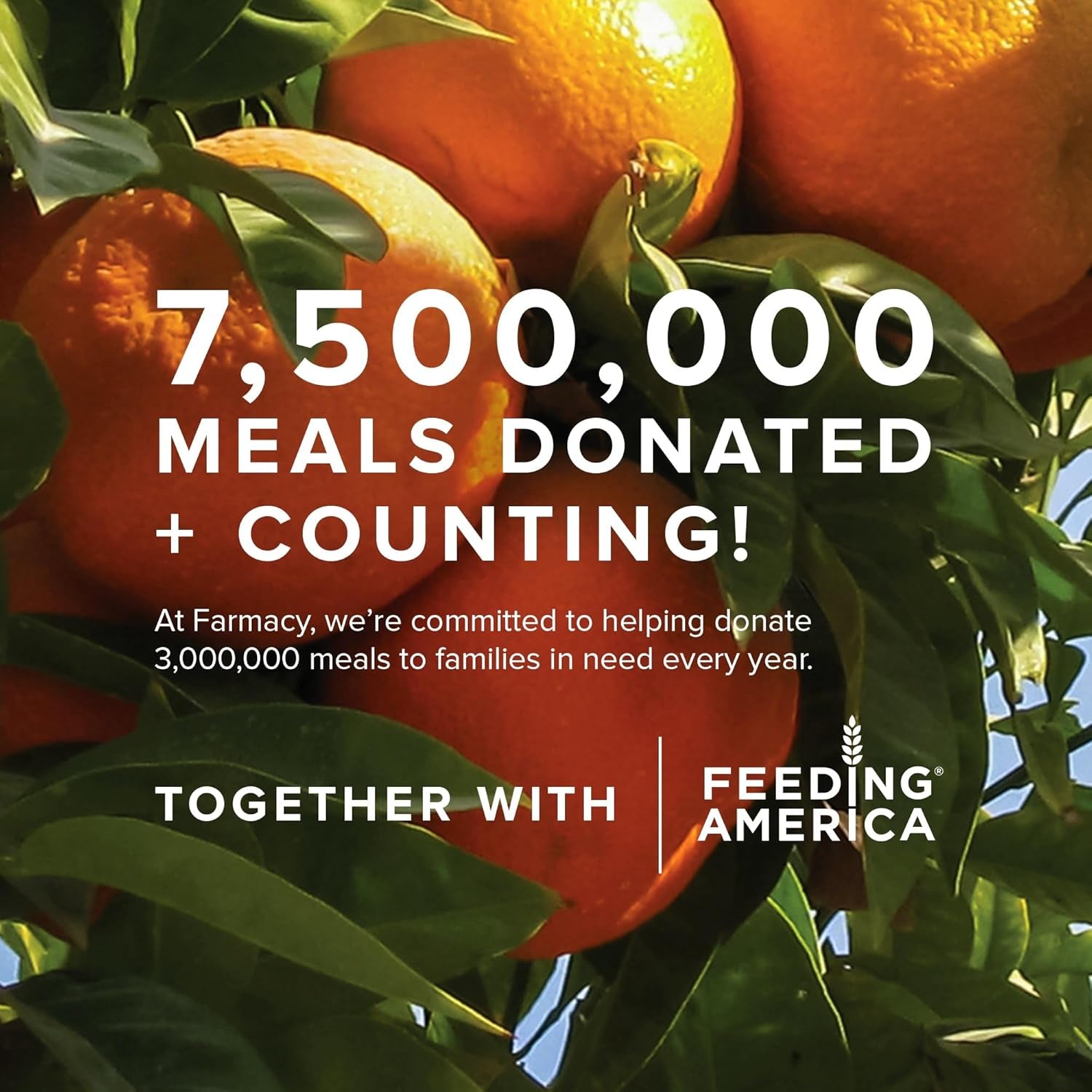 Ceramide Face Moisturizer - Honey Halo Hydrating Facial Moisturizer for Dry Skin - Plumps, Soothes + Restores Skin with Potent Ceramides + Buckwheat Honey for a Dewy, Healthy Glow (9Ml)