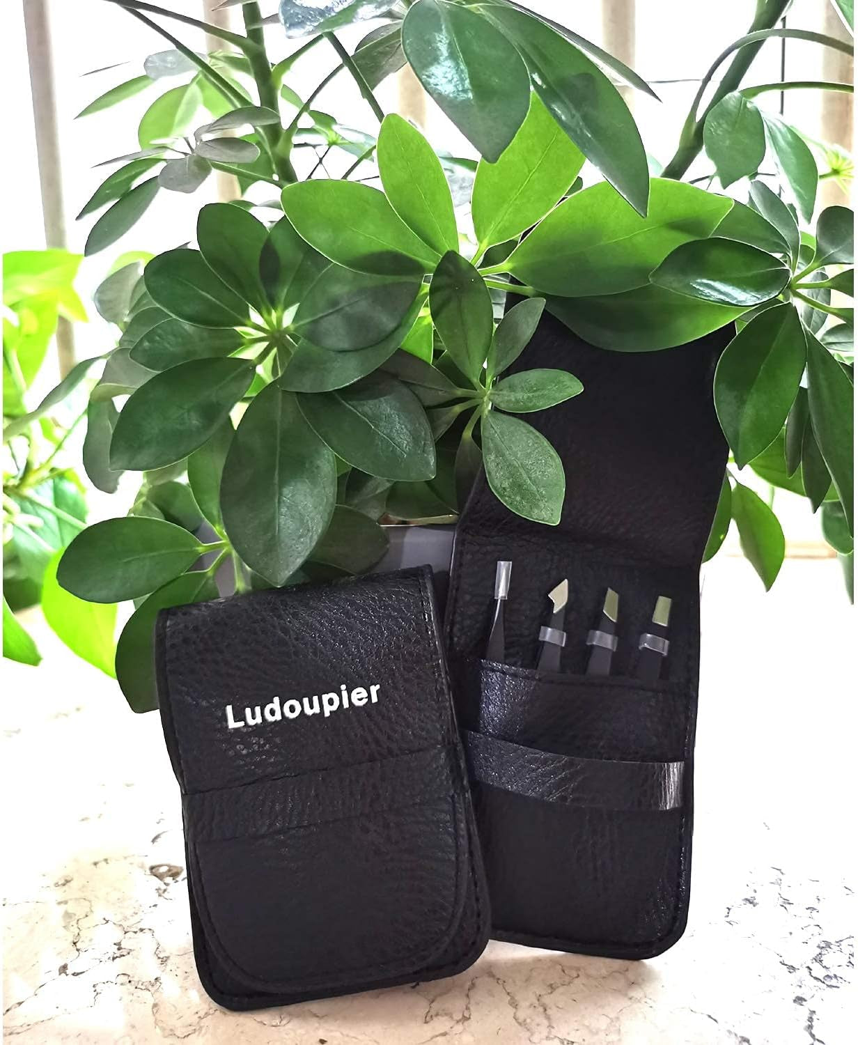 [4+1 Pieces] Tweezers Set with Travel Case, Great Precision Upgrade Professional Anti-Rust Alloy Tweezers for Women & Men Multi-Purpose as Eyebrows Facial Hair Ingrown Hair Removal